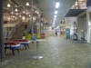 P1090285.JPG