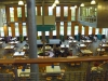 P1090287.JPG