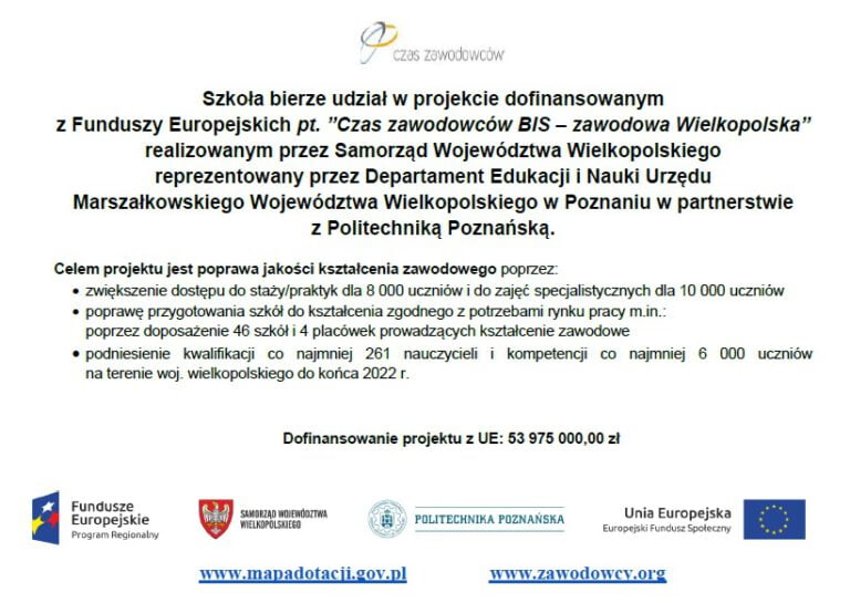 Czas zawodowców BIS – zawodowa Wielkopolska
