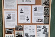 dzm_12