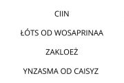 dzm_2