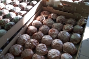 paczki2